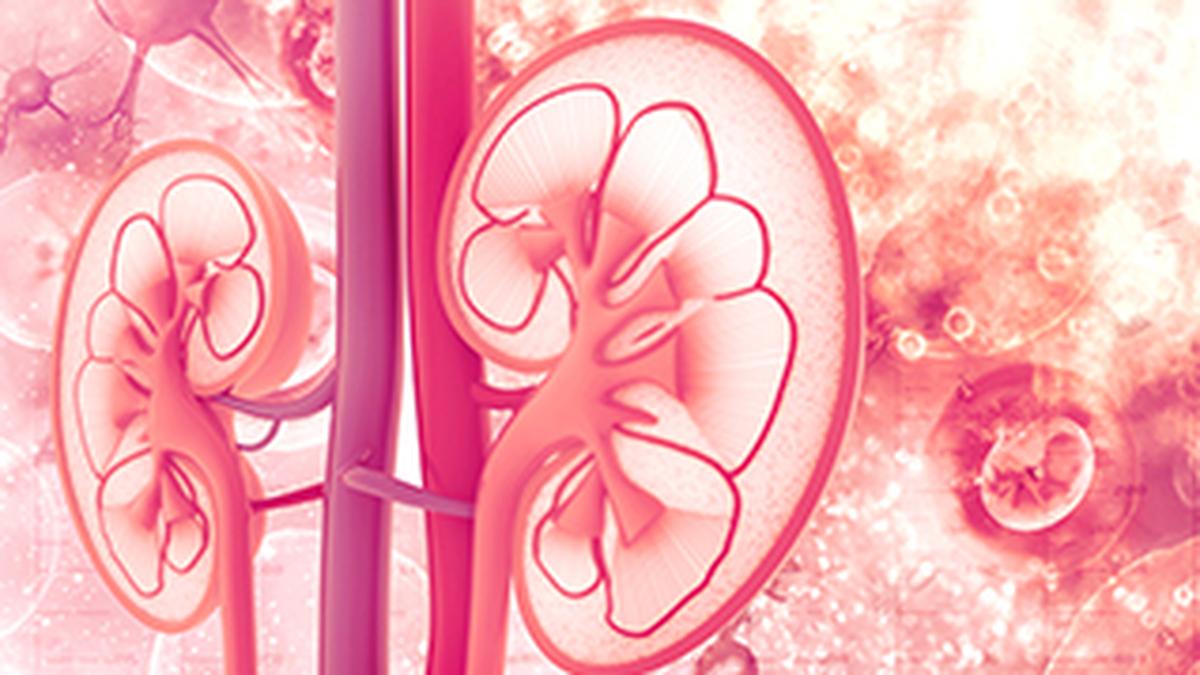 Robotic surgery in kidney cancer: precision that protects both life and organ function