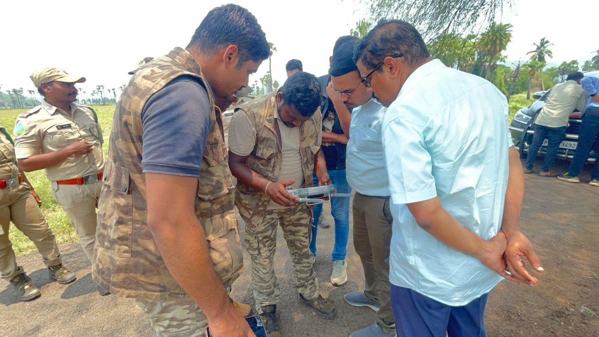 Tiger in Polavaram dist. attacks cattle yet again, kills 14 calves