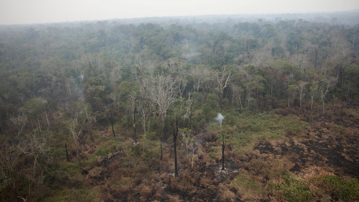 Brazil's Amazon fires off to record 2024 start as green union blames firefighting budget cut