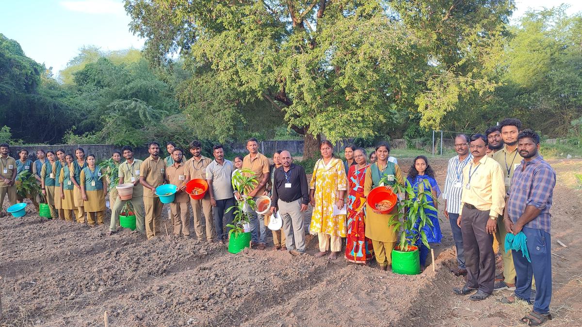 IIHR and Kilvelur Agri college join hands to develop Mango variety suited to conditions in Nagapattinam