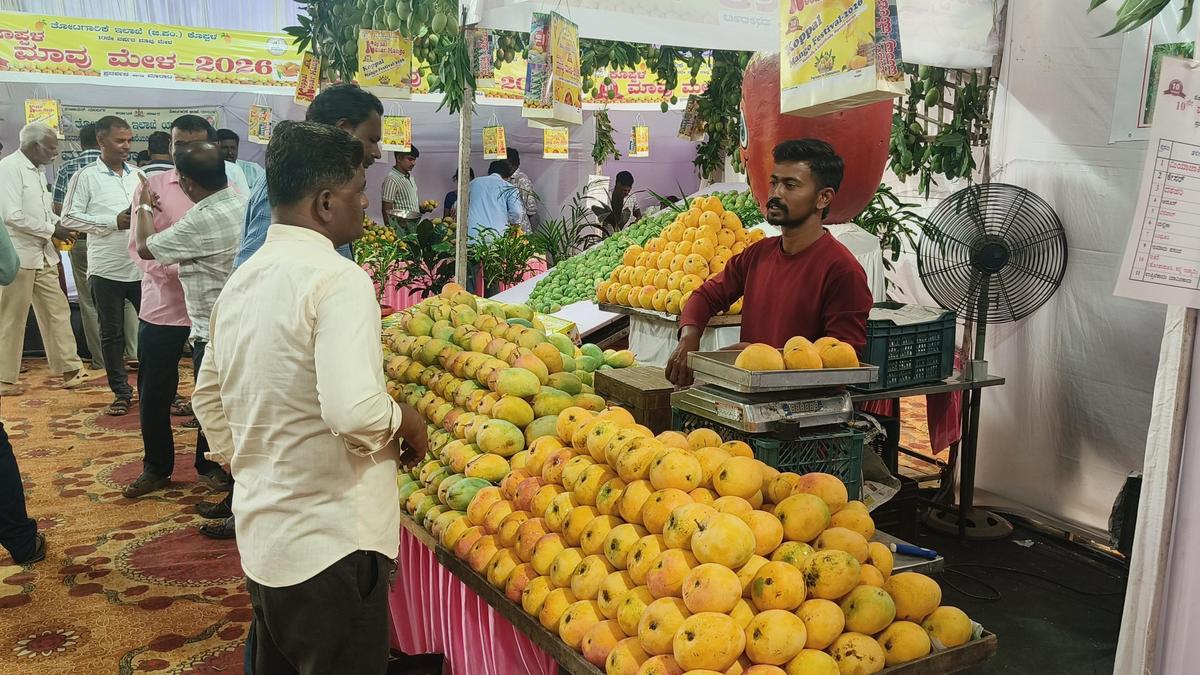 Koppal mango fair concludes with ₹3.30 crore record business