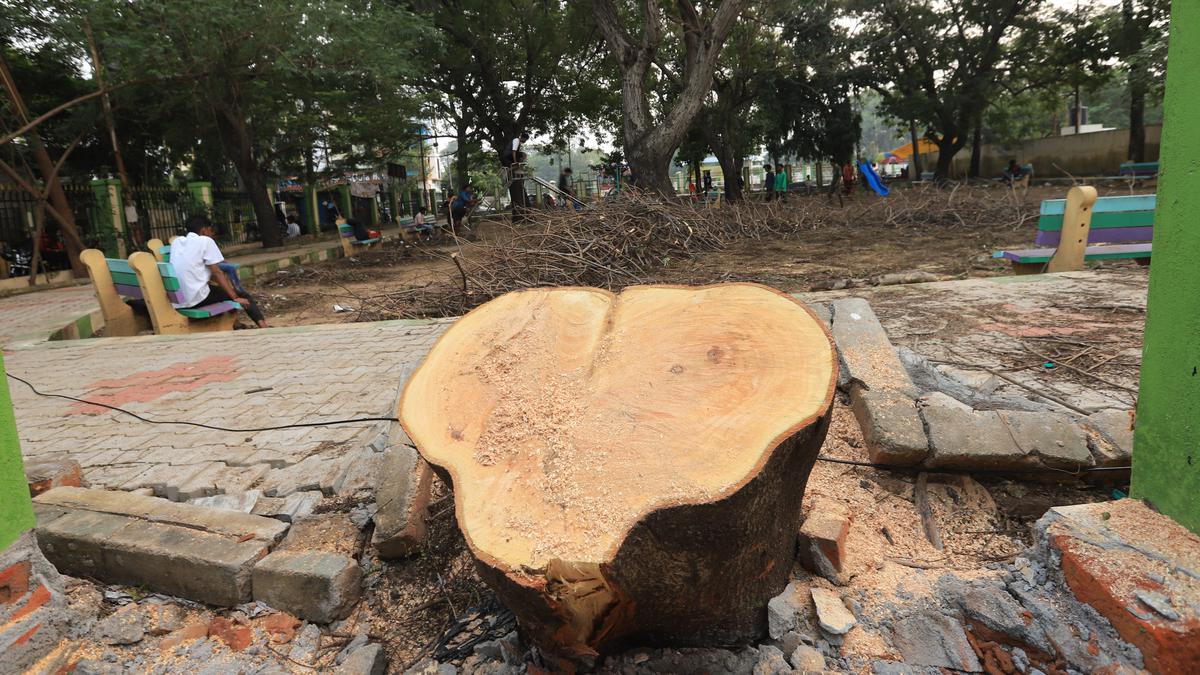 Michaung teaches a lesson from a ‘classroom’ in Chetpet