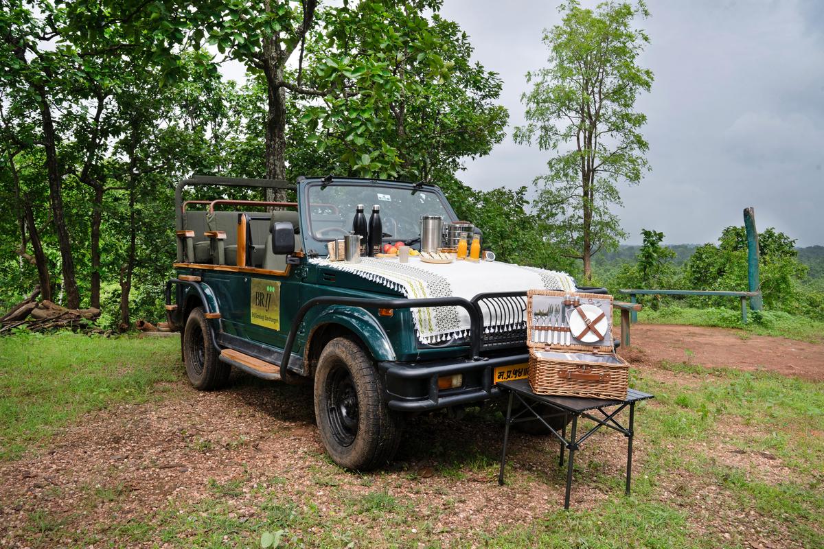Gypsies going for morning safari in Bandhavgarh in Madhya Pradesh.