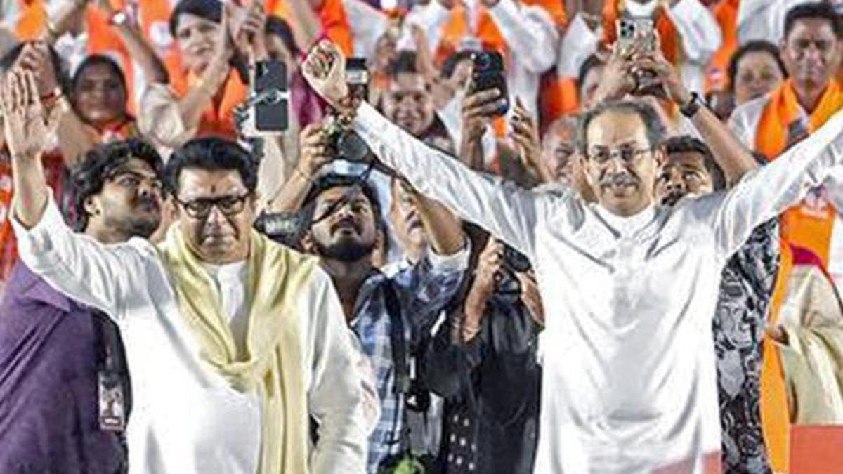 SEC allowed post-campaign canvassing at government's behest: Raj Thackeray