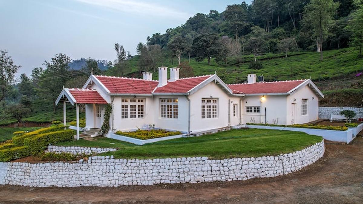 An immersive experience at the century-old Pembroke tea plantation in Coonoor