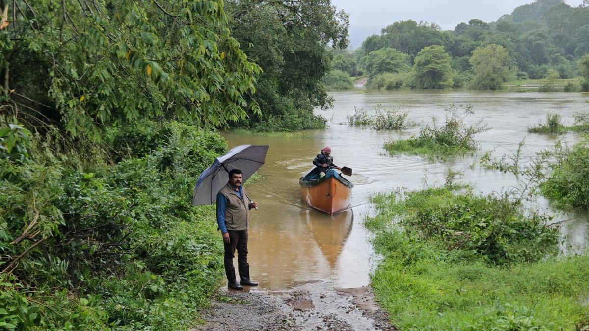 Kodagu witnesses incessant rains; man dies in tree collapse - The Hindu