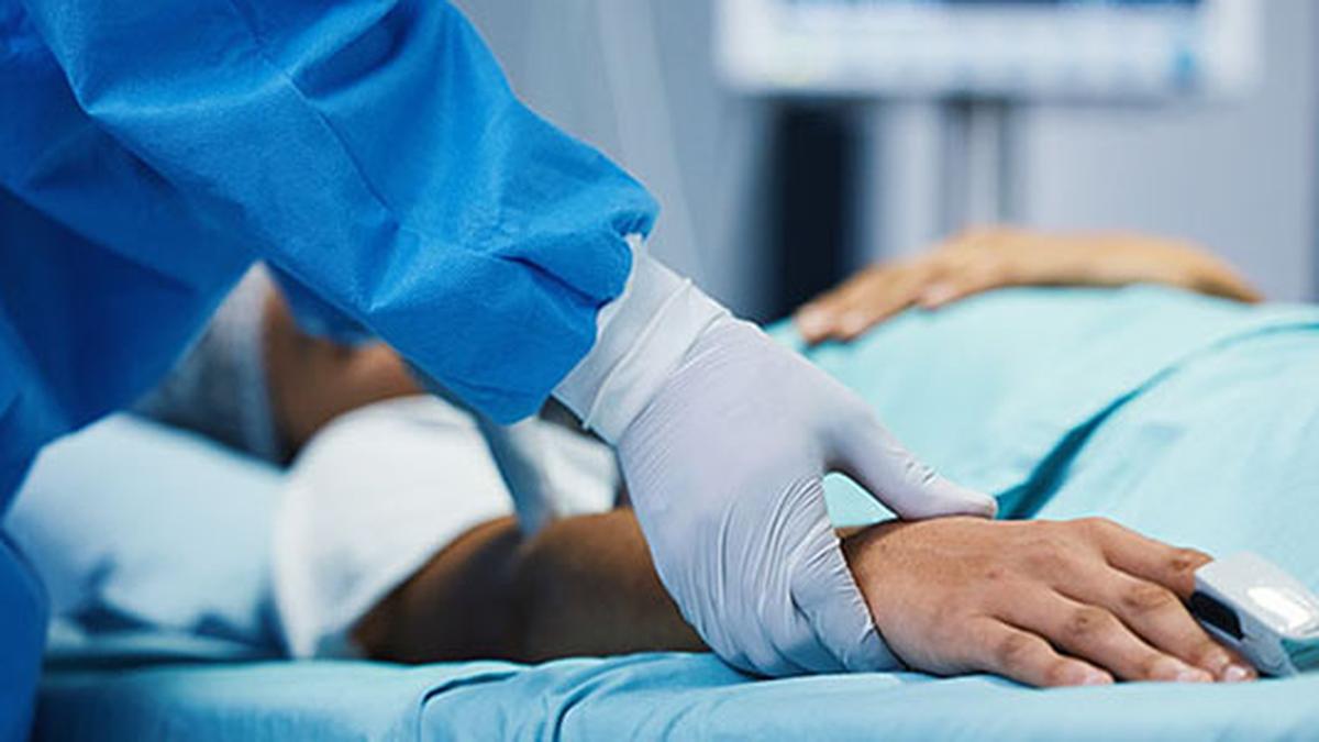 T.N. illegal kidney sale racket: Madras High Court orders inquiry by Health Secretary