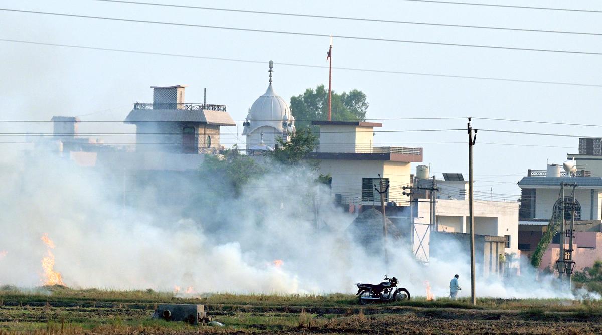 Stubble (parali in Punjabi) being burnt to remove paddy crop residue from a field in Kaithal district, Haryana.