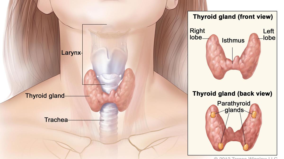 Thyroid disorders: prevention and early detection