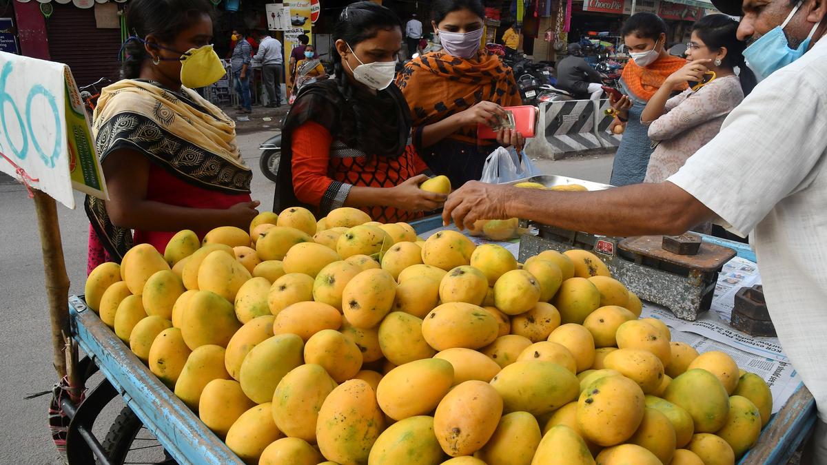 RTC launches Mango Express Service The Hindu