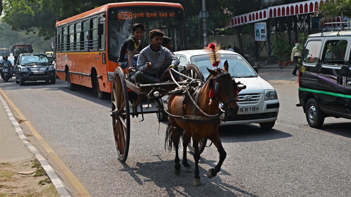 Back to horse power and green transport over pollution?