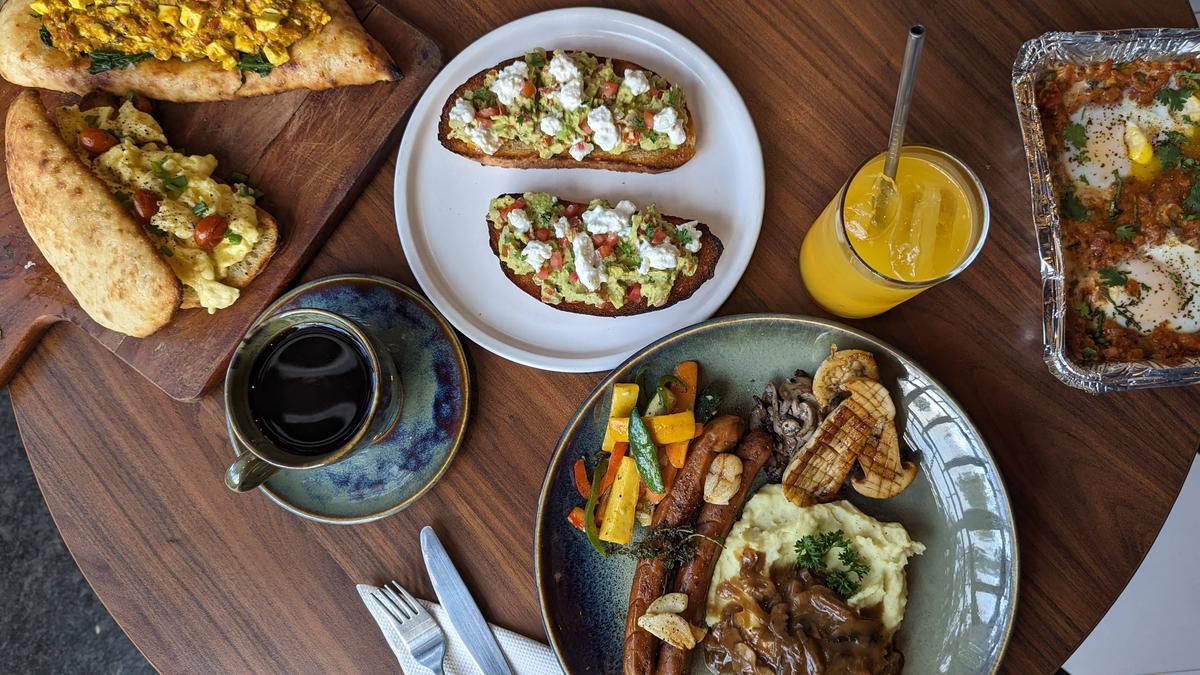 Indian, continental, and regional cuisines at Sunday brunch 