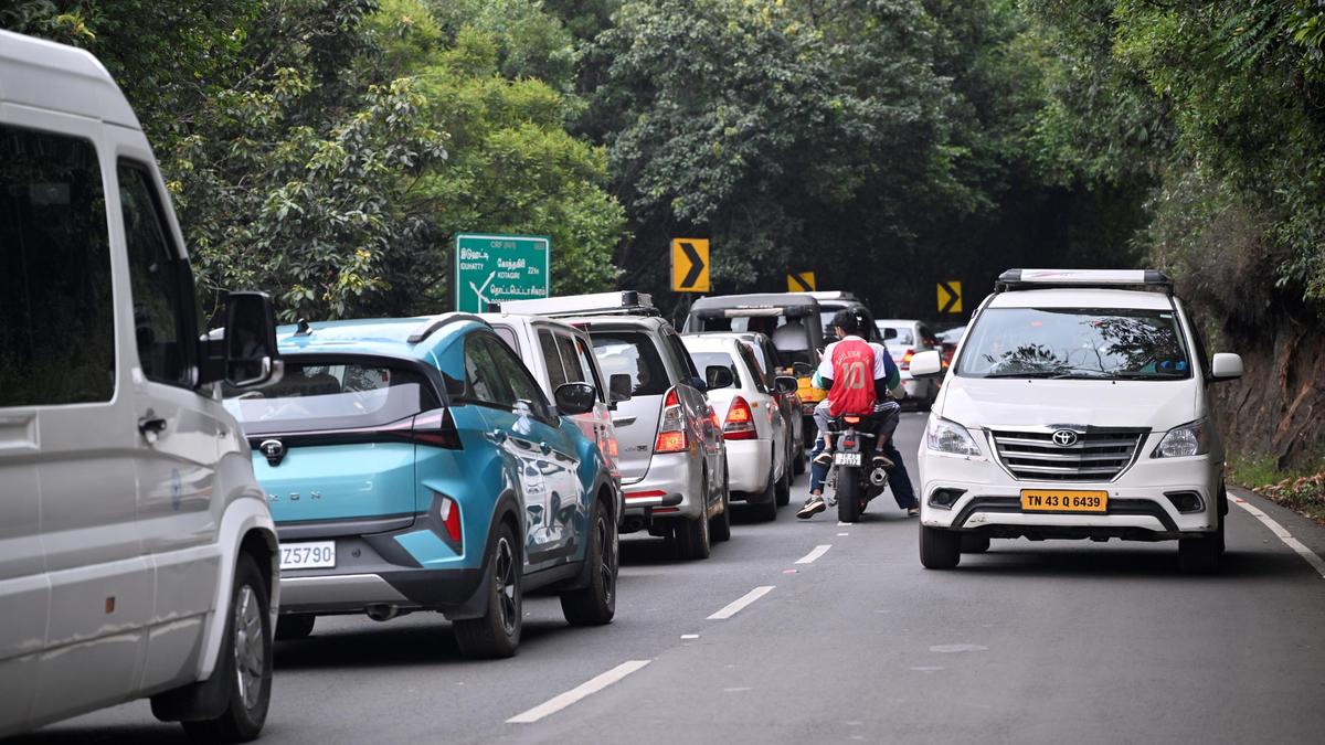 Summer festival season chokes Doddabetta Peak, conservationists call for curbs