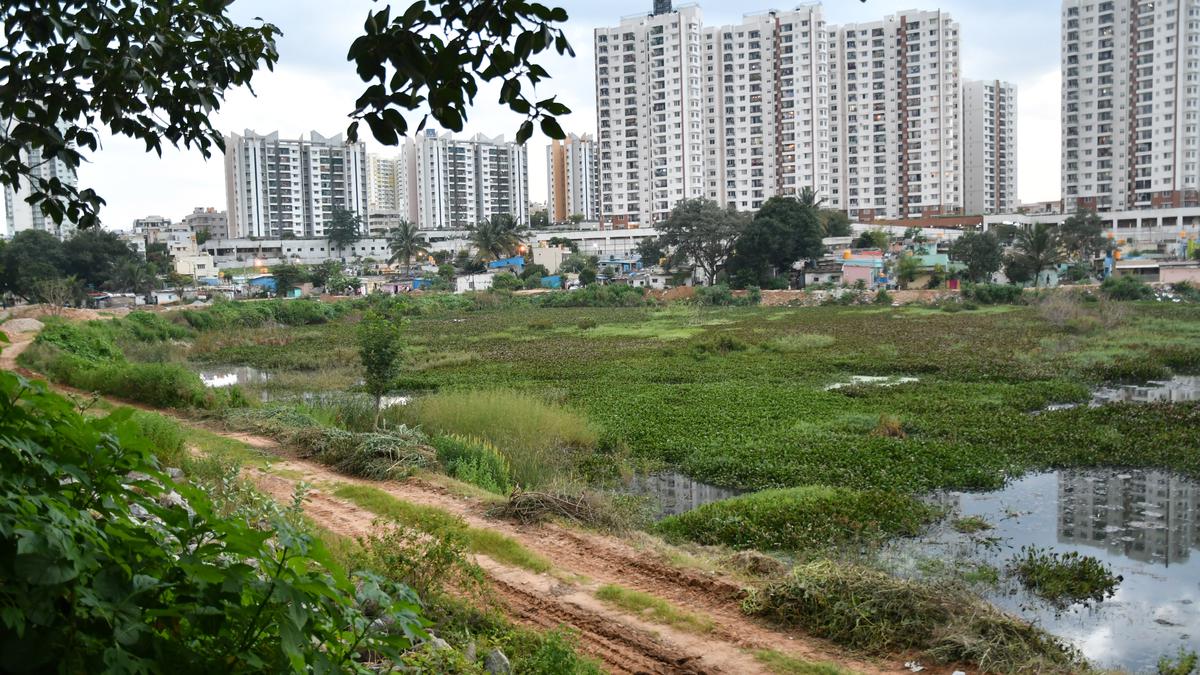 Anti-encroachment drive in Bengaluru skips over lakes as BBMP faces multiple hurdles