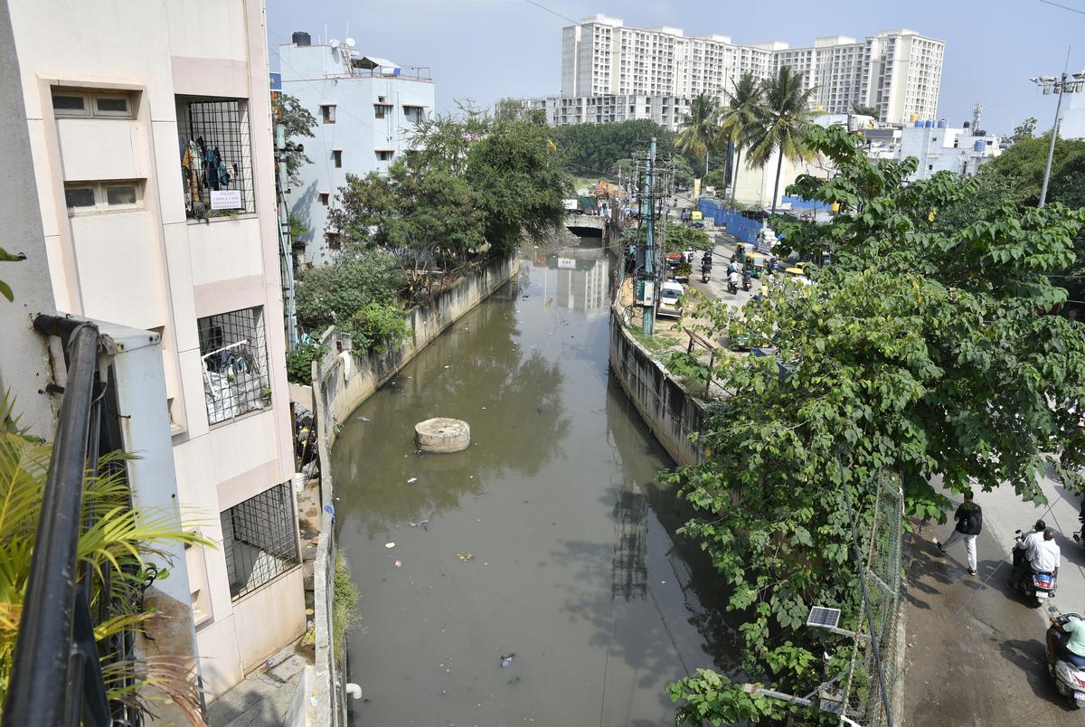 Buffering Karnataka's waterbodies - The Hindu