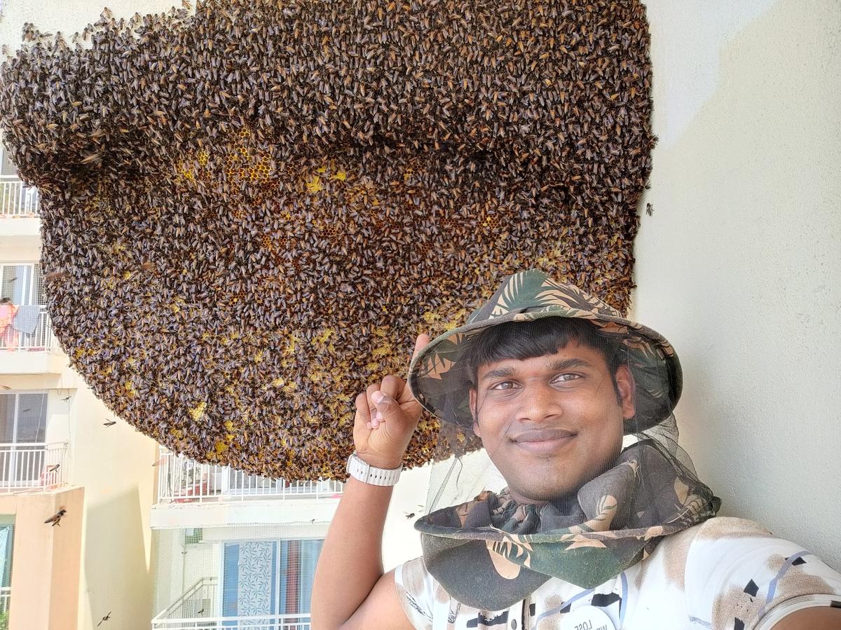 Dhananjaya R., a bee rescuer from Bengaluru, takes a selfie with a hive.
