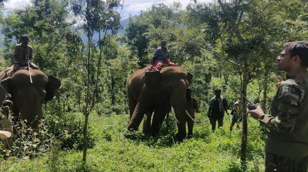 All three human deaths in O’Valley caused by different elephants, say officials