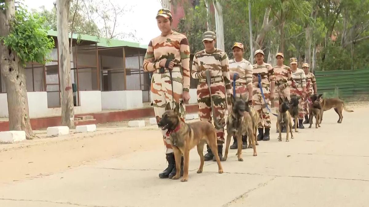 Indian Army Military Dog Breeds List Dog Tag For Army Custom Army