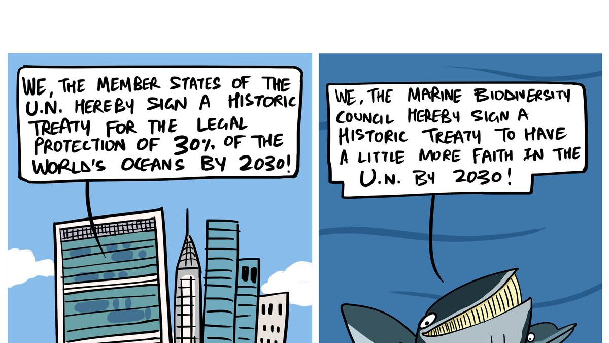 Green Humour by Rohan Chakravarty on UN treaty on Marine Biodiversity of Areas Beyond National Jurisdiction