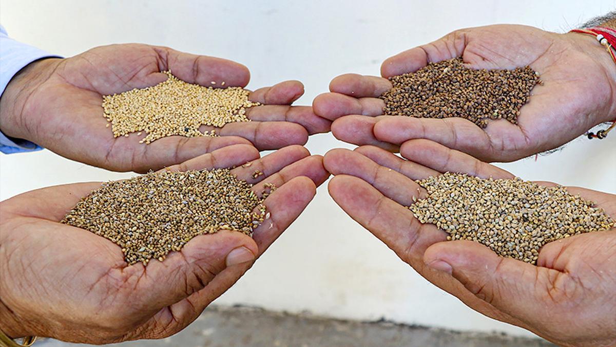 Telangana Seed Festival in Kadthal from April 4 to 6