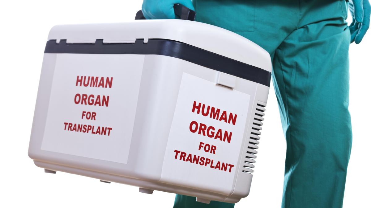 Family of brain-dead youth from Mandya donates organs