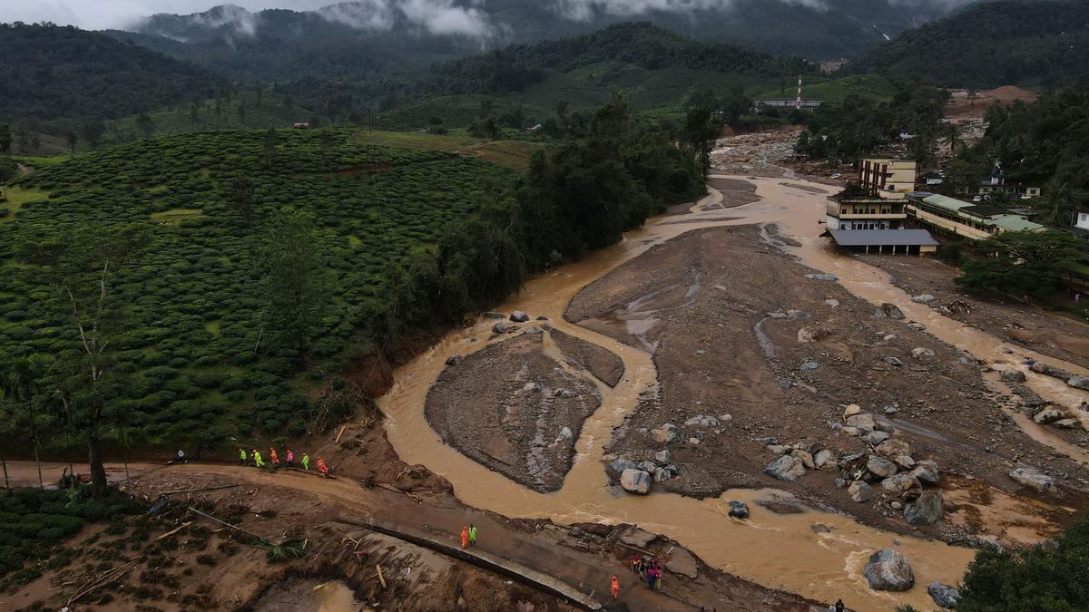 Wayanad landslides: Kerala Cabinet resolves to rush more personnel and equipment to Wayanad