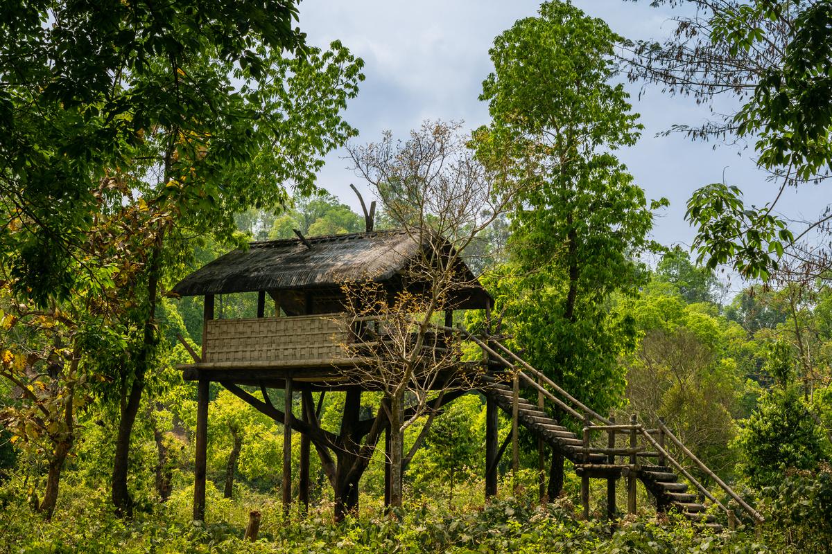 A watchtower made of bamboo, in Assam.