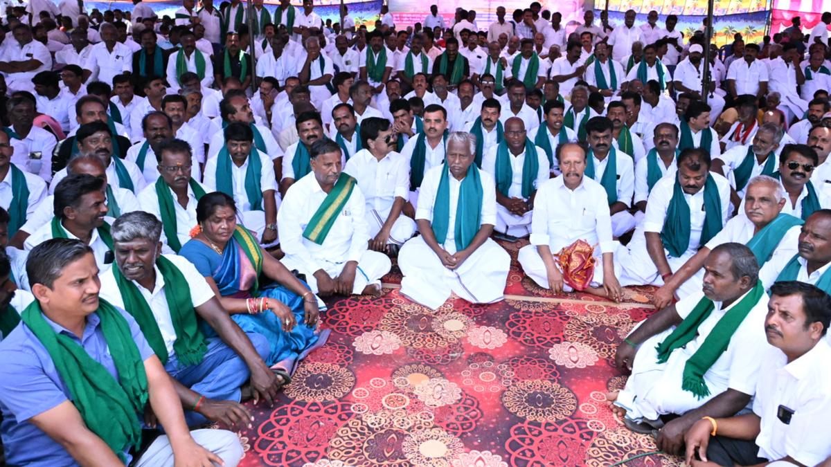 AIADMK stages hunger strike supporting mango farmers in Krishnagiri