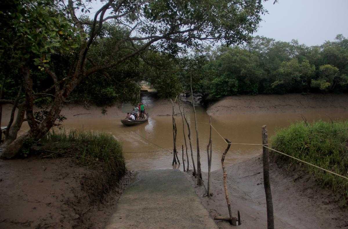 Villagers use a country boat to cross a creek near Satabhaya ghat inside Bhitarkanika National Park in Odisha.