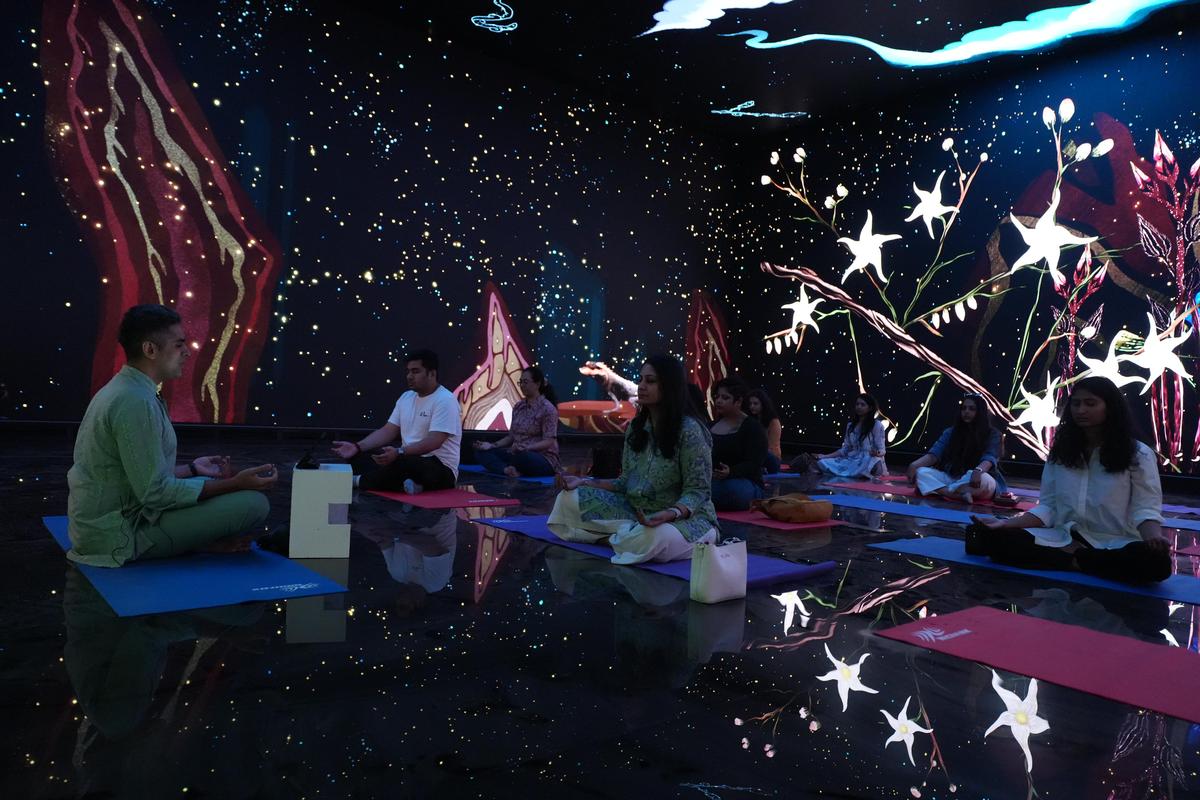 Immersive experience created by Svabhu Kohli and Aaron Myles Pereira.