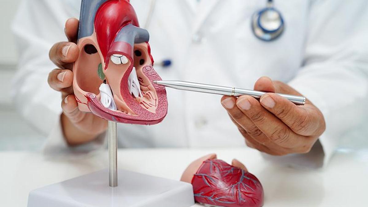 CT Calcium Scoring: Who needs it and what the score means for cardiac risk assessment