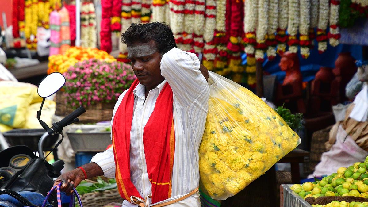 Use of banned single-use plastics on the rise in Coimbatore city