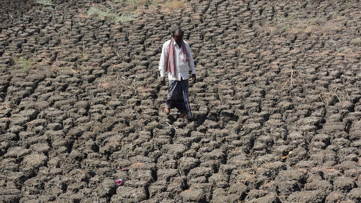 10-member Central team to visit drought-hit districts of Karnataka from today