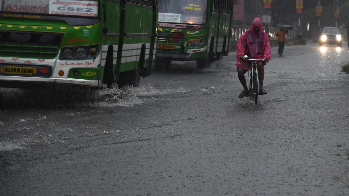 Data and dams: How Kerala cracked flood management | Data Point podcast