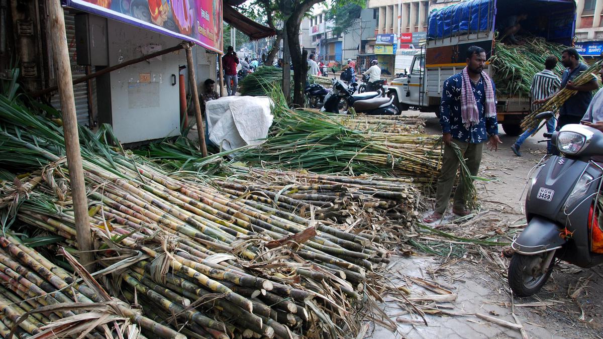Farmers threaten indefinite stir in Mysuru seeking higher procurement price for sugarcane