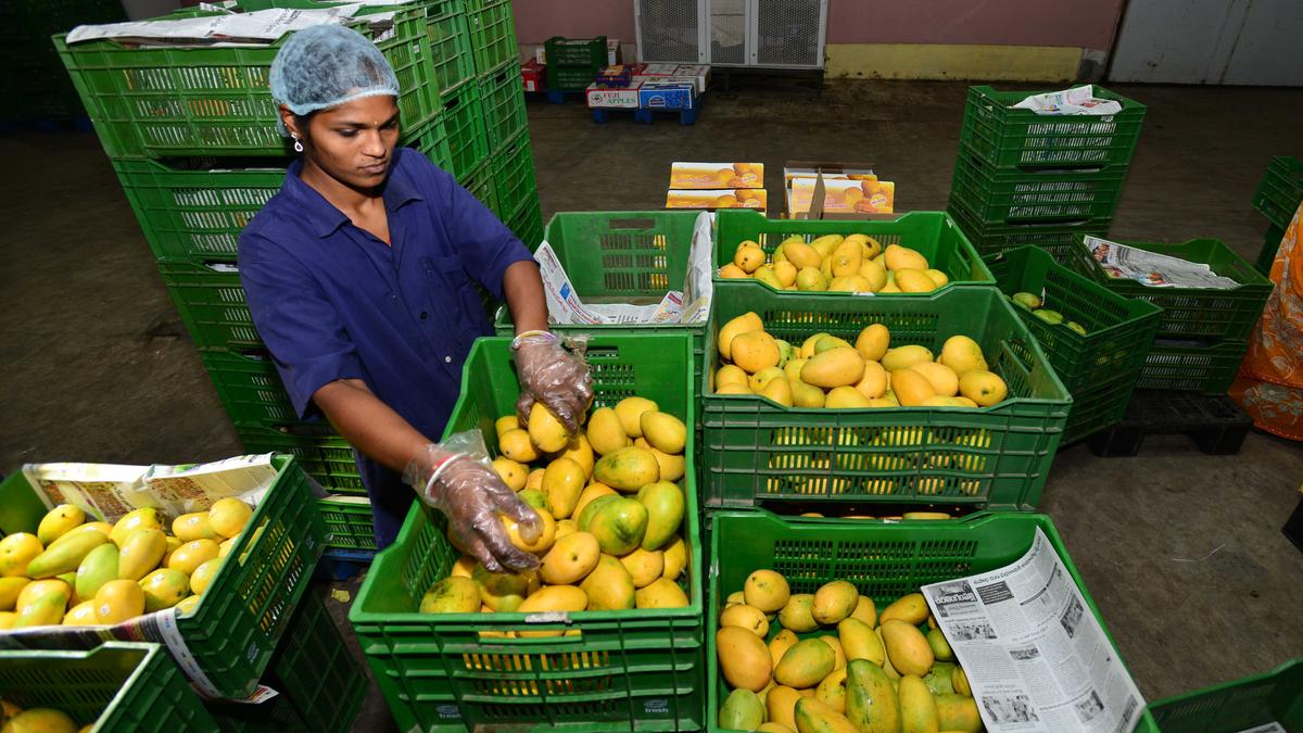 Heritage Foods posts Q4 profit surges on strong demand for dairy products