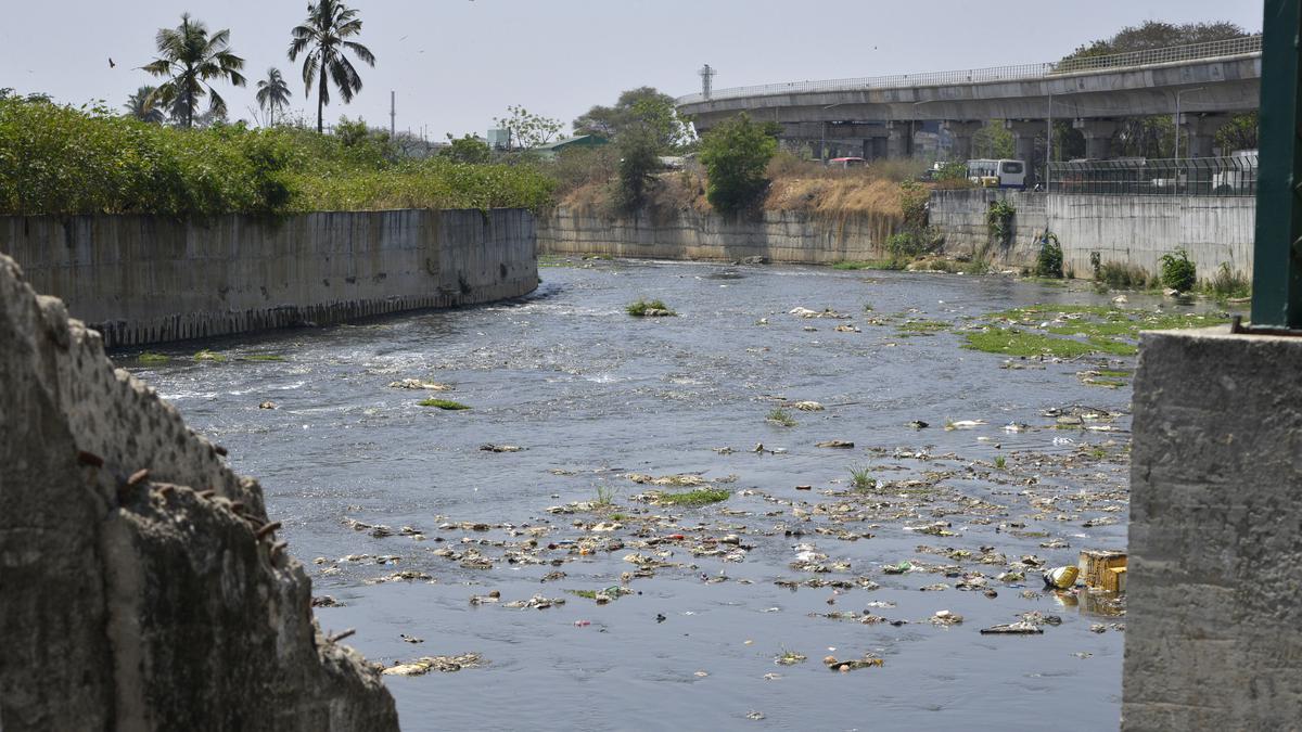 No cholera outbreak in Karnataka; six sporadic cases reported since January this year, says Health Commissioner