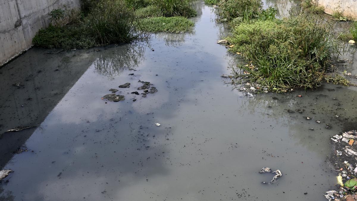 Encroachments stall revamping of Sanganoor Canal in Coimbatore