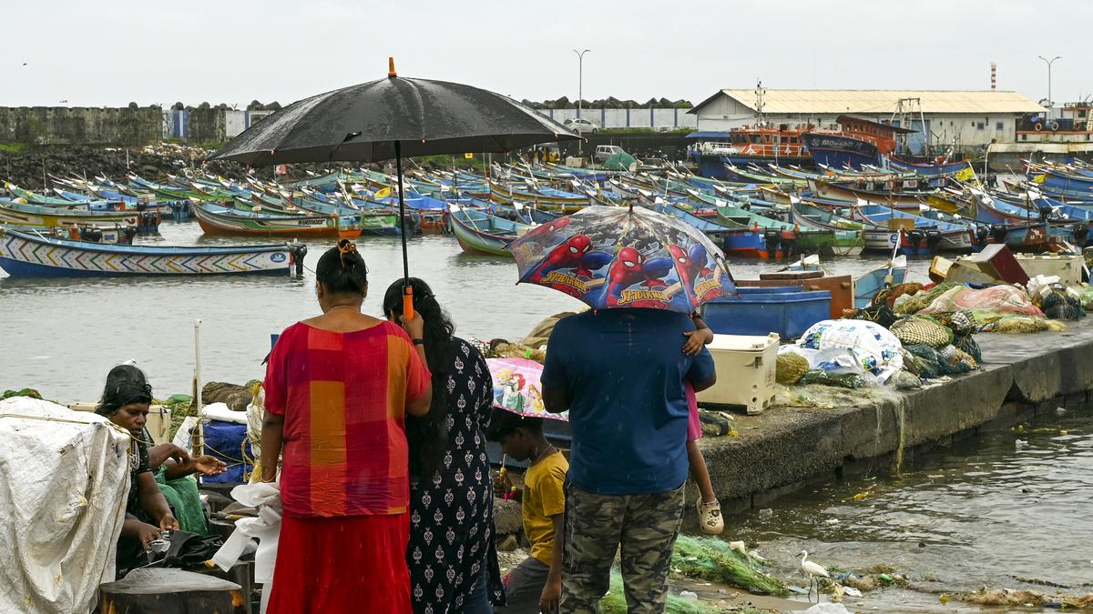 Kerala braces for dengue, leptospirosis outbreaks as monsoon season arrives