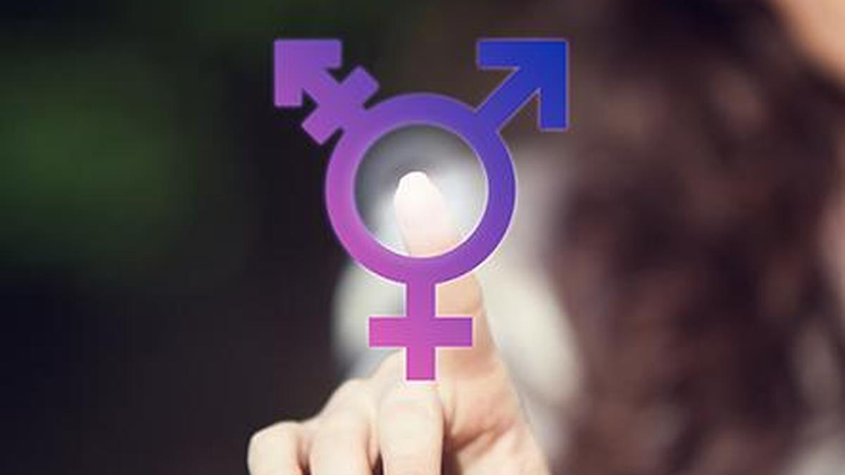 Why transgender persons should not be allowed to adopt children, Madras High Court asks Centre