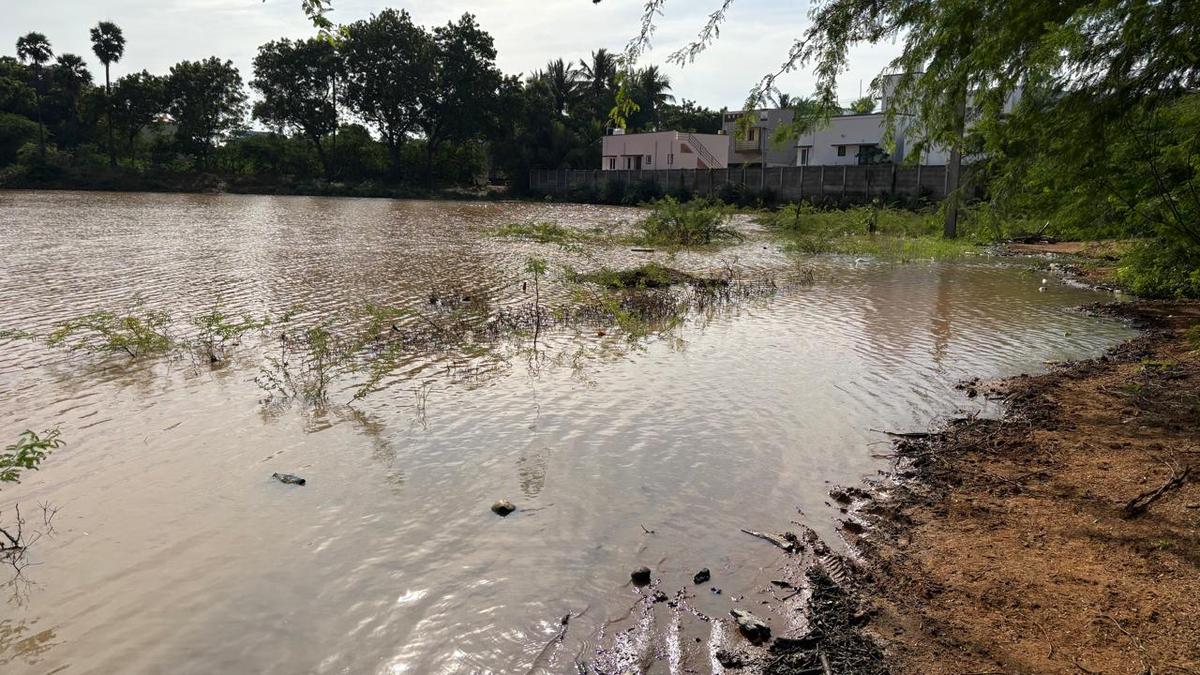 Absence of bund around deepened pond worries residents of Morais Garden Extension in Tiruchi