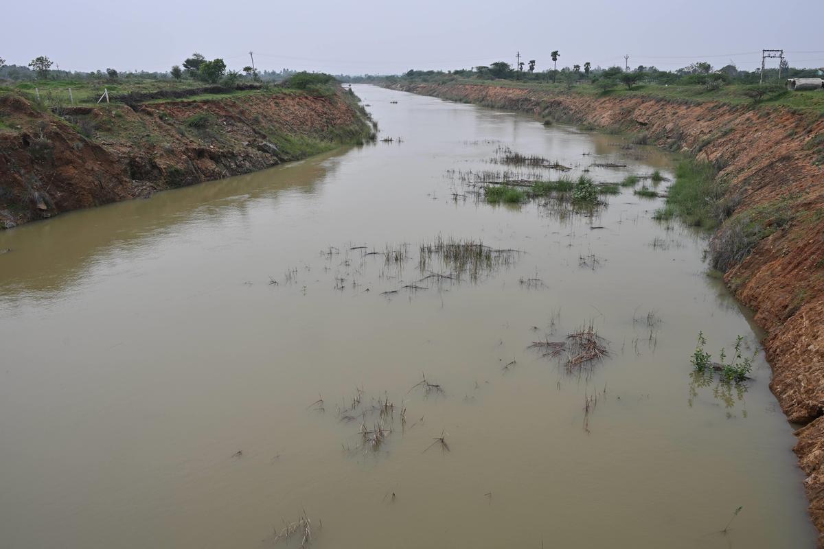 Surplus water flowing on the flood carrier channel at Ponnakudi near Tirunelveli. 