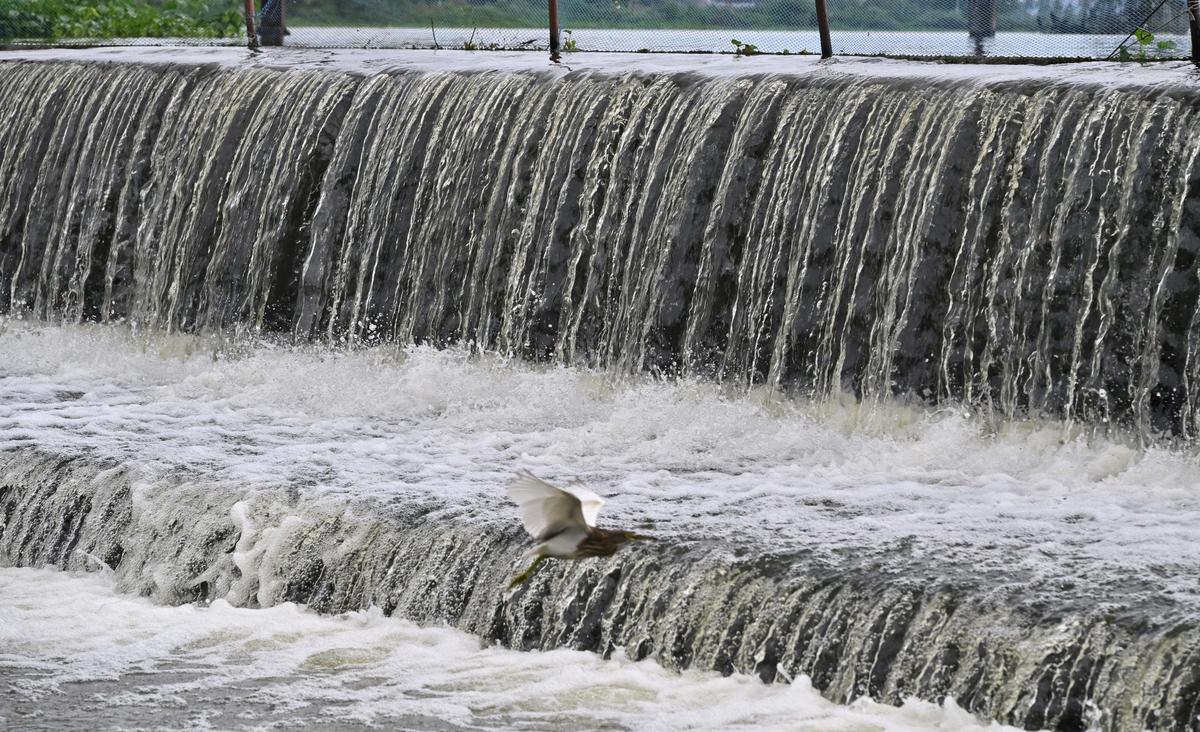 The Karairuppu irrigation tank near Tirunelveli overflows following continues rain in Tirunelveli district.
