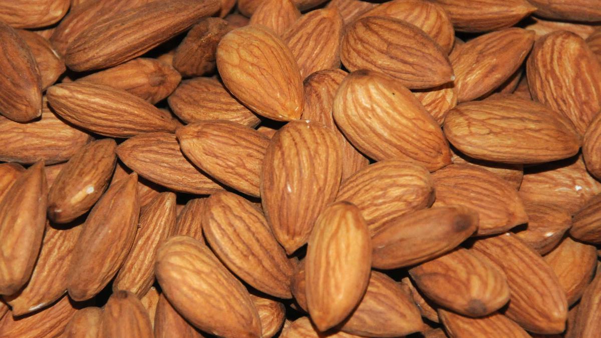 Ahead of Joe Biden visit, India drops tariff hikes on U.S. almonds, apples, walnuts and lentils