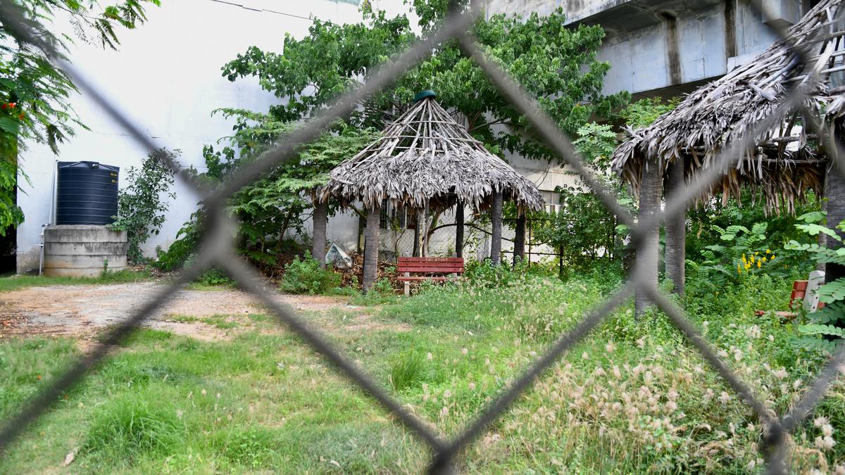 Miyawaki method of greening losing favour in city