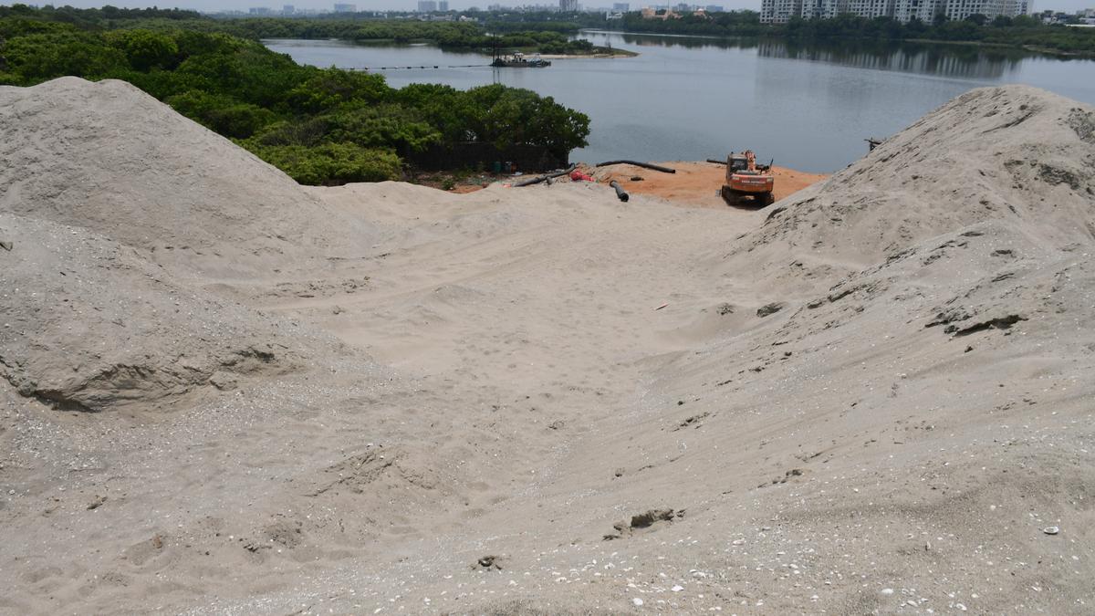 Work to widen, desilt a portion of Adyar river near the mouth speeded up