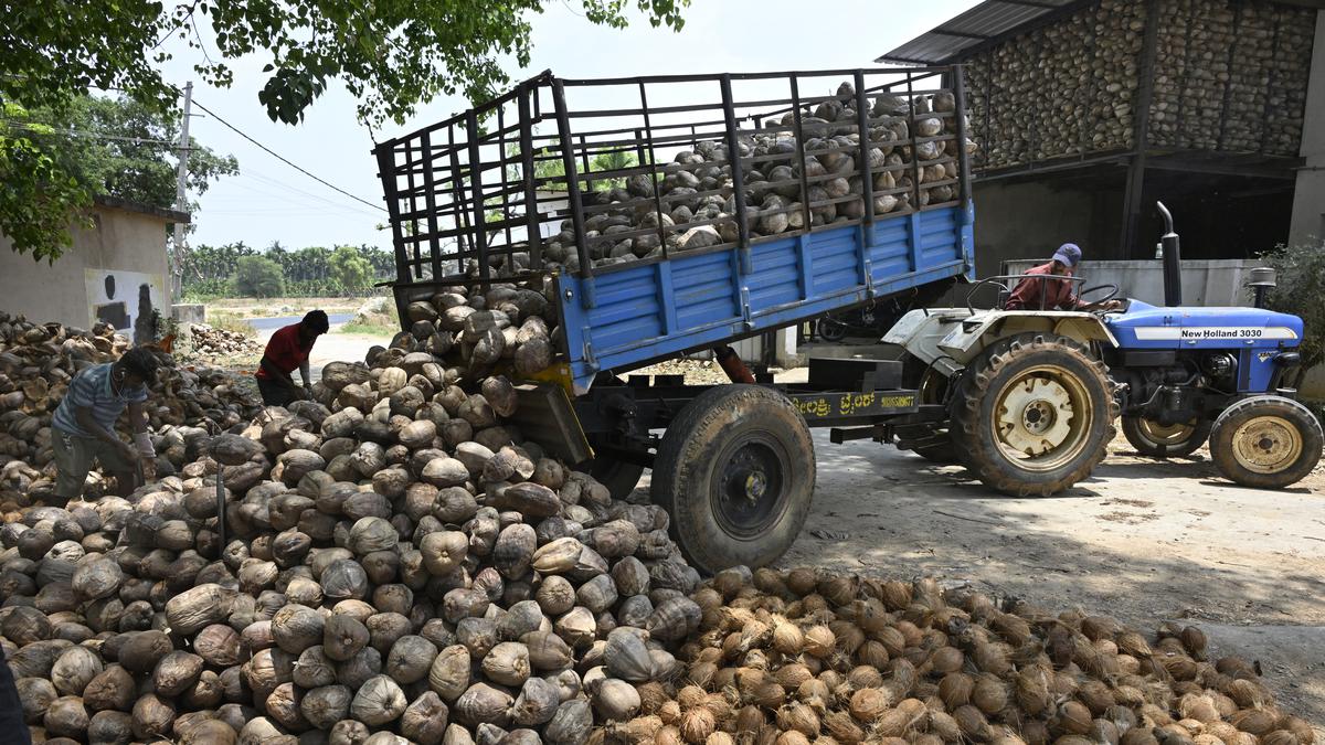 Summer of discontent in the land of coconuts in Karnataka