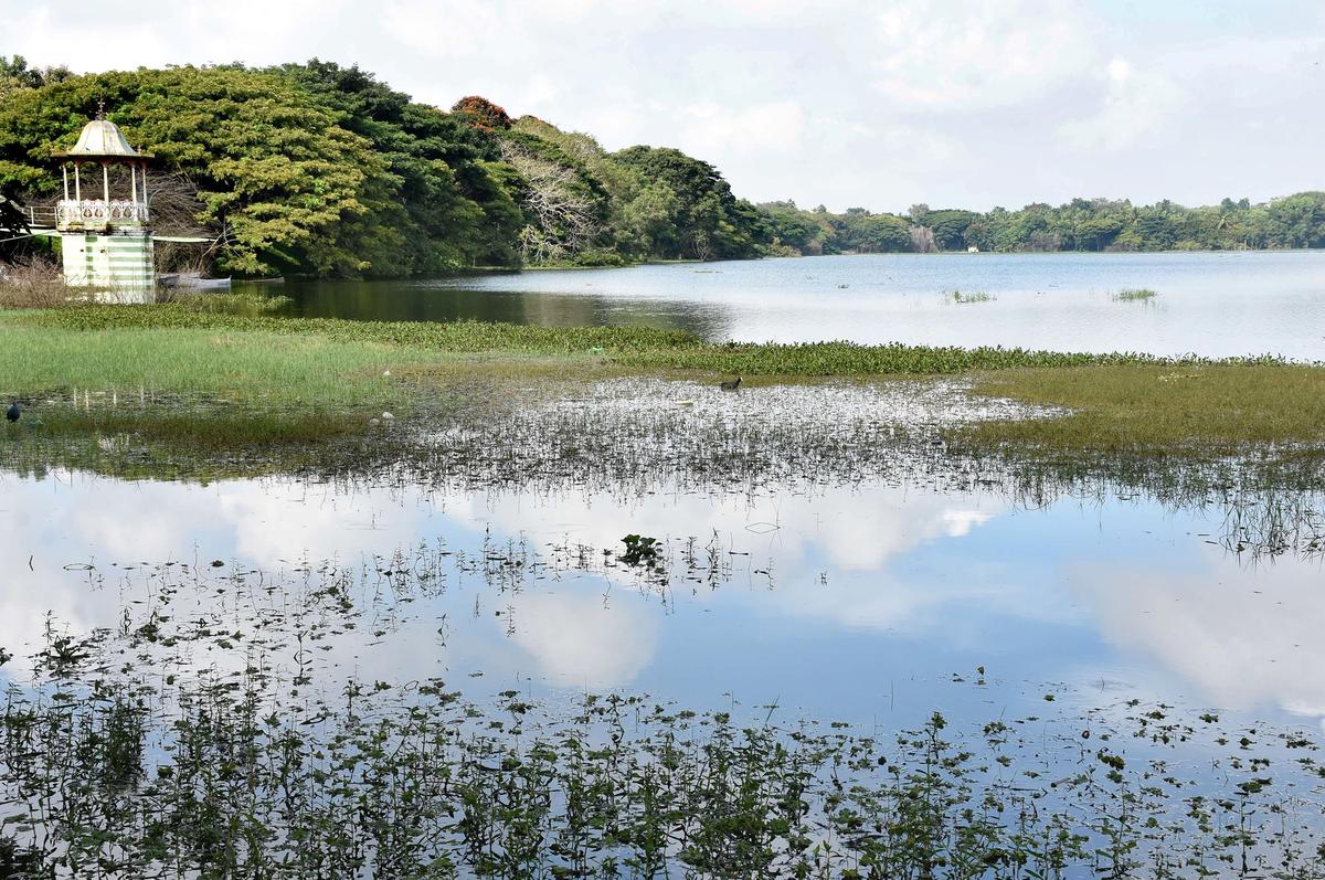CNNL consultant calls for slew of tests, safety measures for Kukkarahalli lake