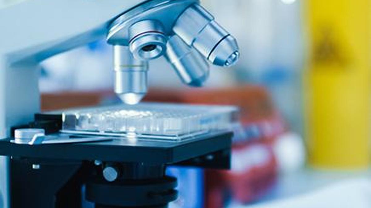 The holy trinity of cancer care: biochemistry, microbiology and pathology