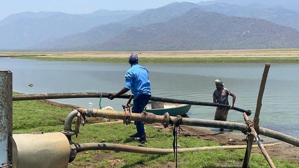 Notices being served to farmers and to companies for exploitation of LBP canal water